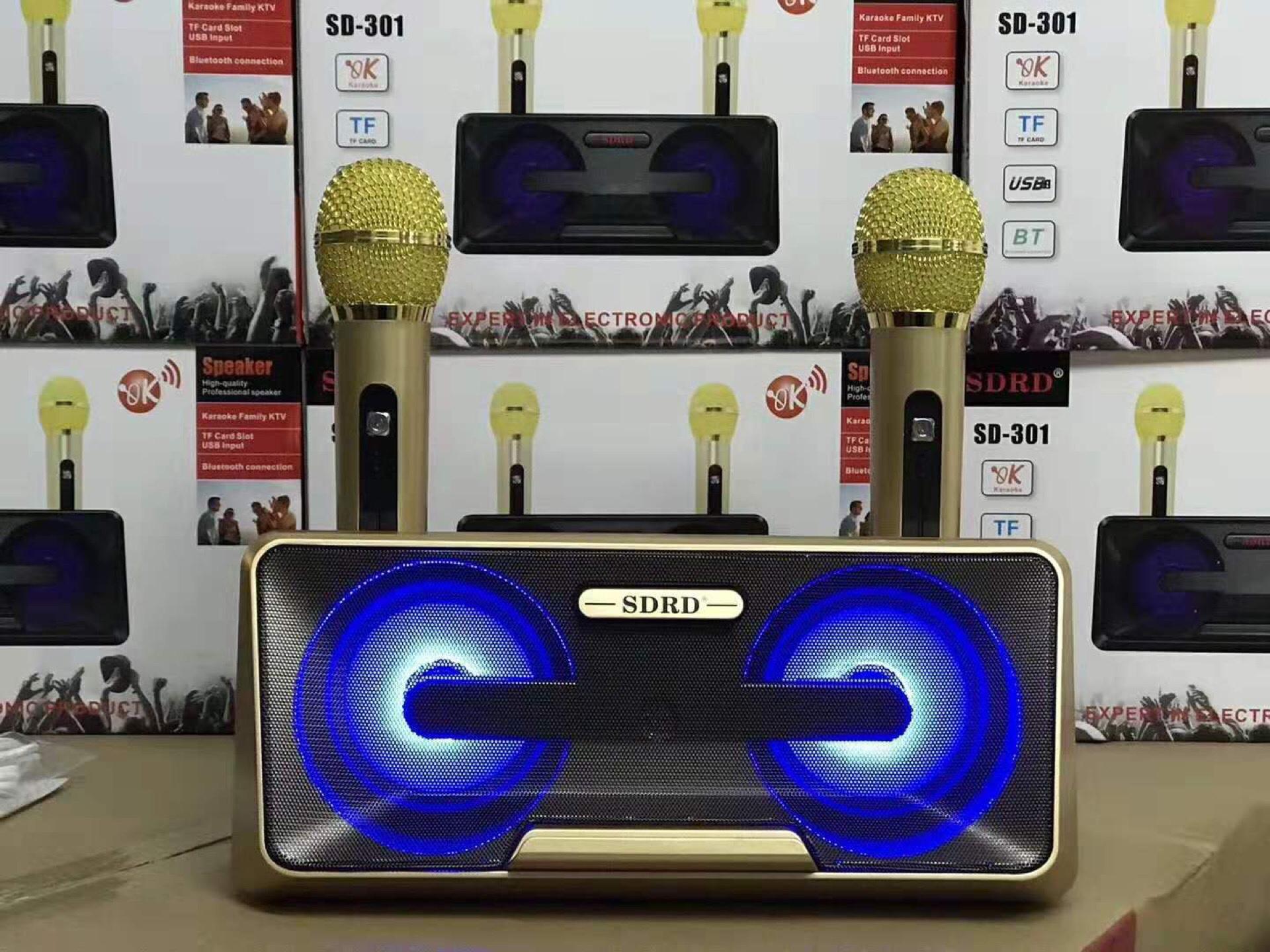 Loa Karaoke SDRD SD-301 kèm 2 mic không dây (giao màu ngẫu nhiên)