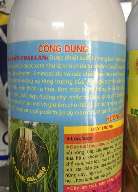 phân bón rong biển thái lan - 1 lít