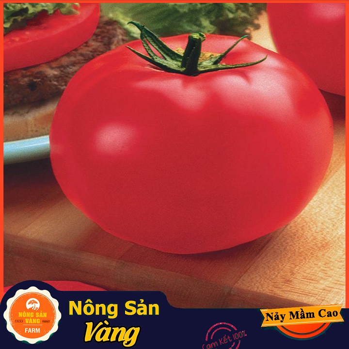 Hạt giống Cà Chua Đỏ Quả To, Quả Cà Chua Màu Đỏ Tươi Đẹp Mắt Kích Thước To Hơn Cà Chua Thông Thường (Gói 50 Hạt) - Nông Sản Vàng