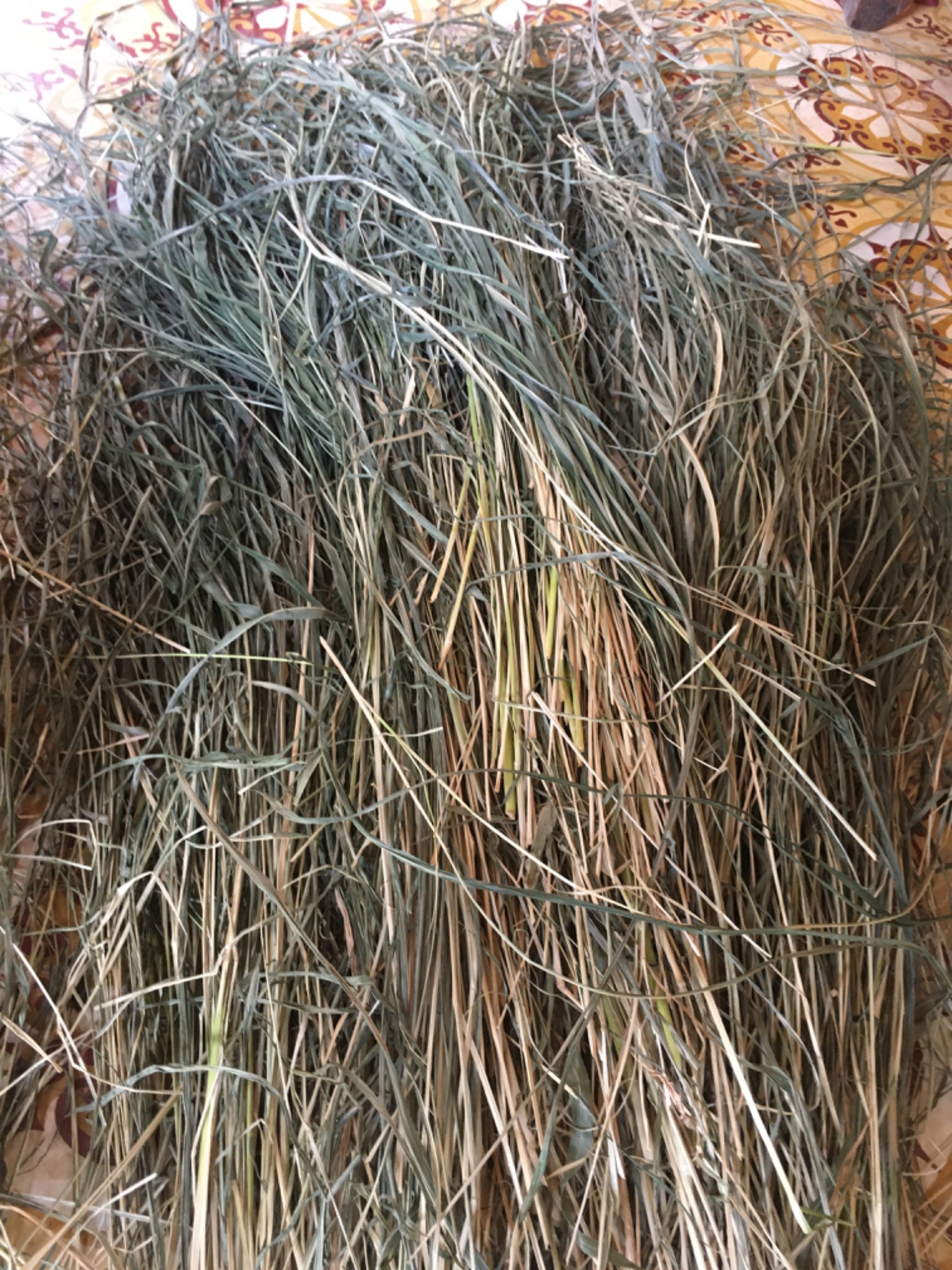 1 kg cỏ sả lá lớn ( cỏ phơi khô ). Làm thức ăn  cho thỏ bọ