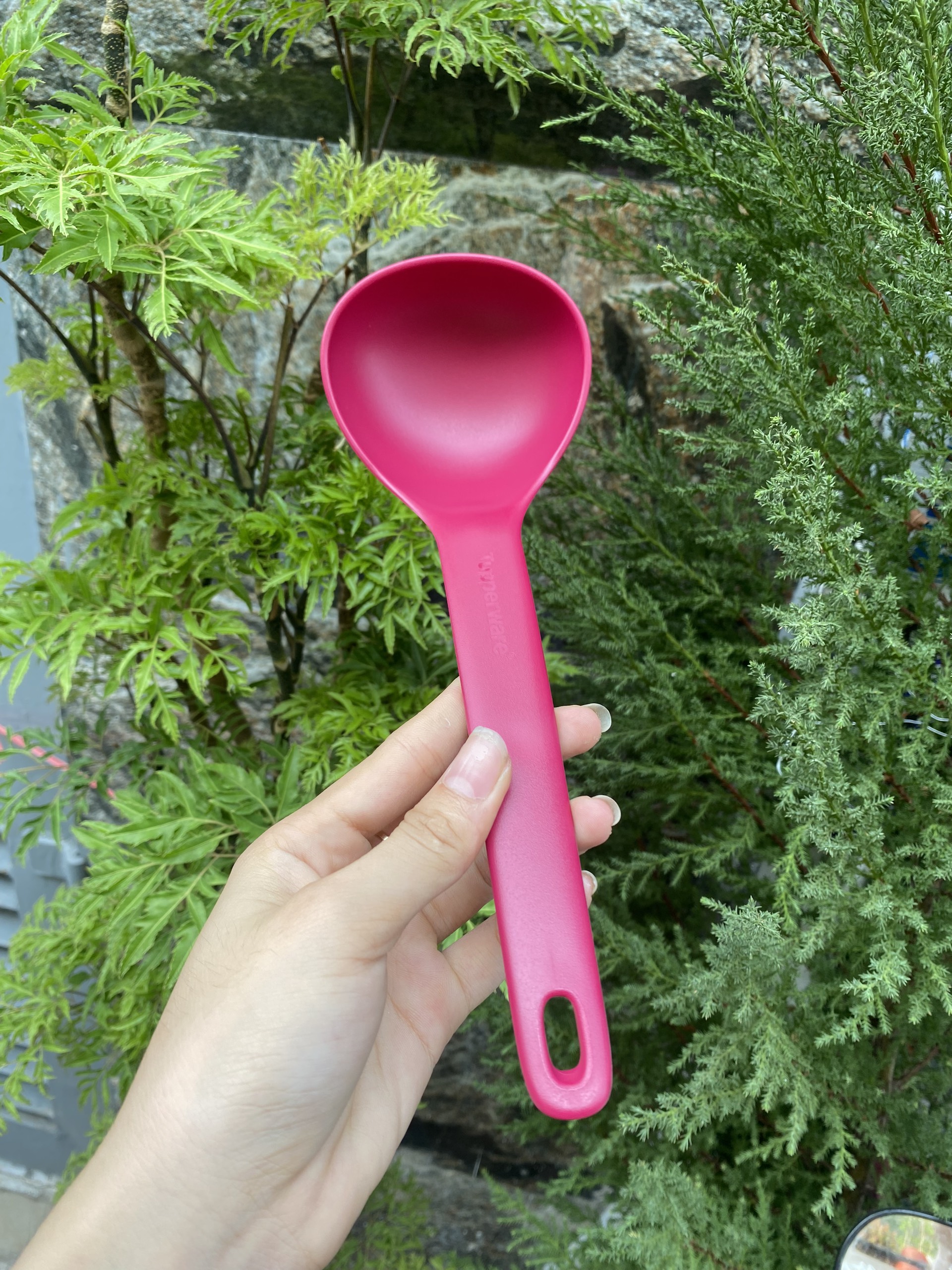 Vá cơm Tupperware, hàng Tup Malaysia, chất lượng chuẩn quốc tế