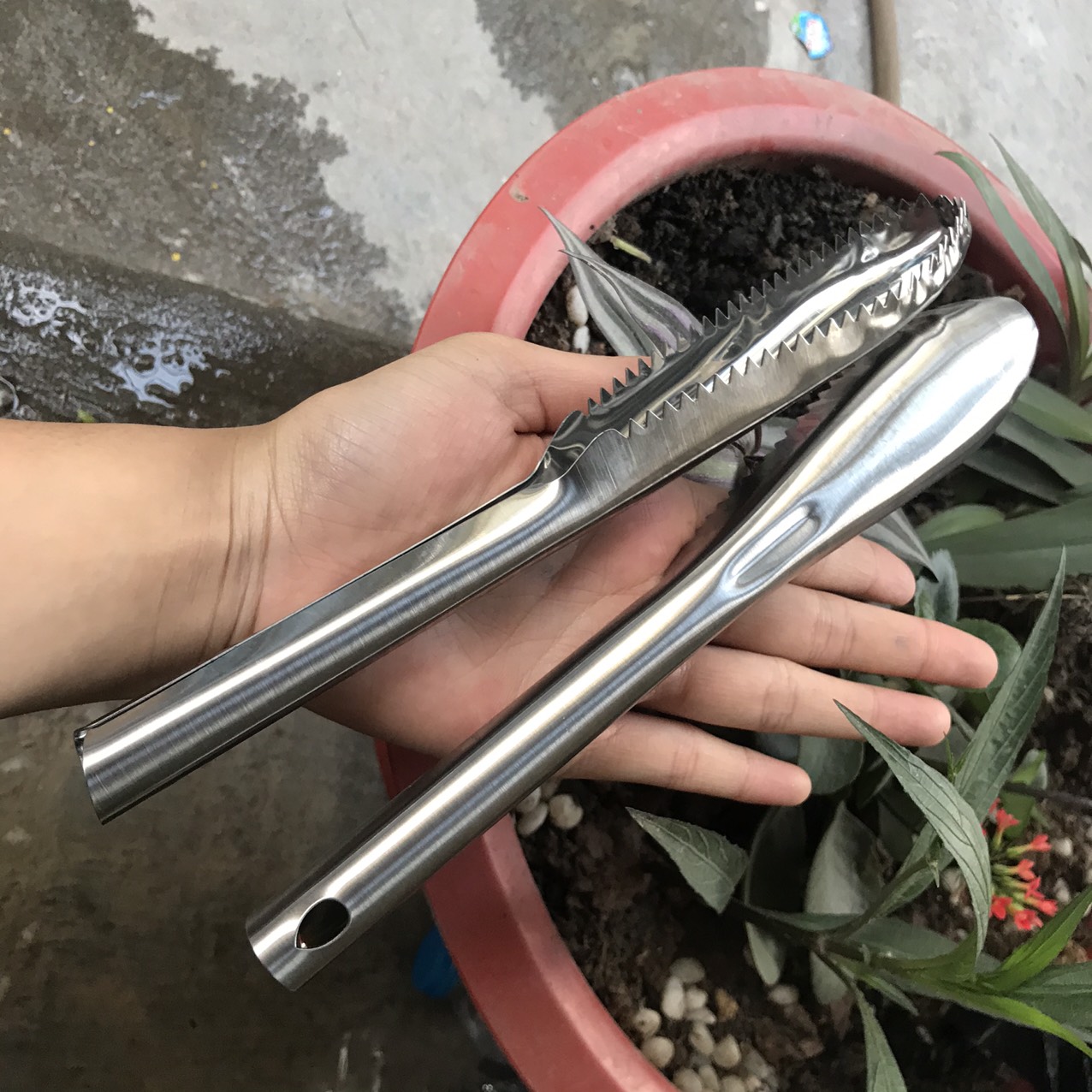 Dụng Cụ Đánh Vảy Cá Cao Cấp