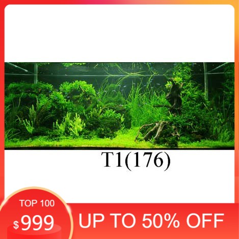 Tranh 3D dán bể cá cảnh hồ thuỷ sinh