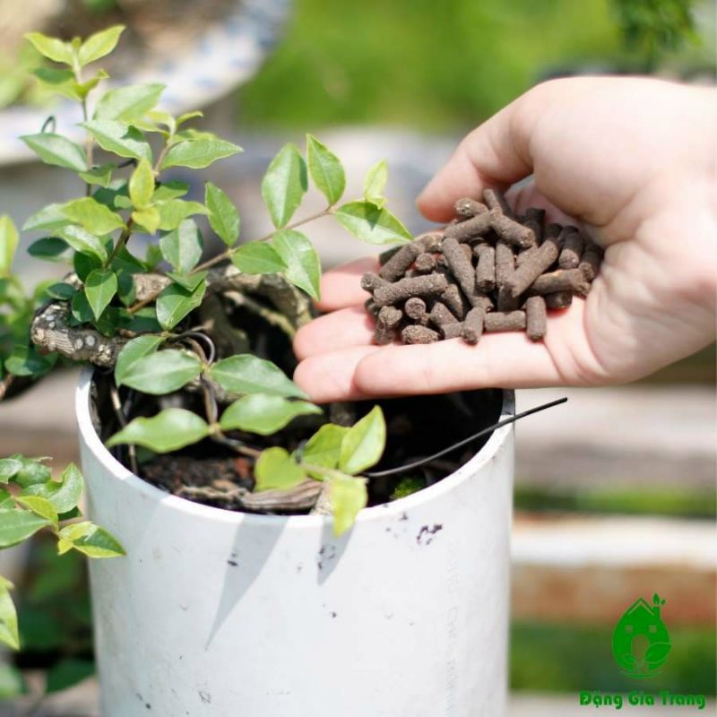 Phân trùn quế viên nén Sfarm 1kg