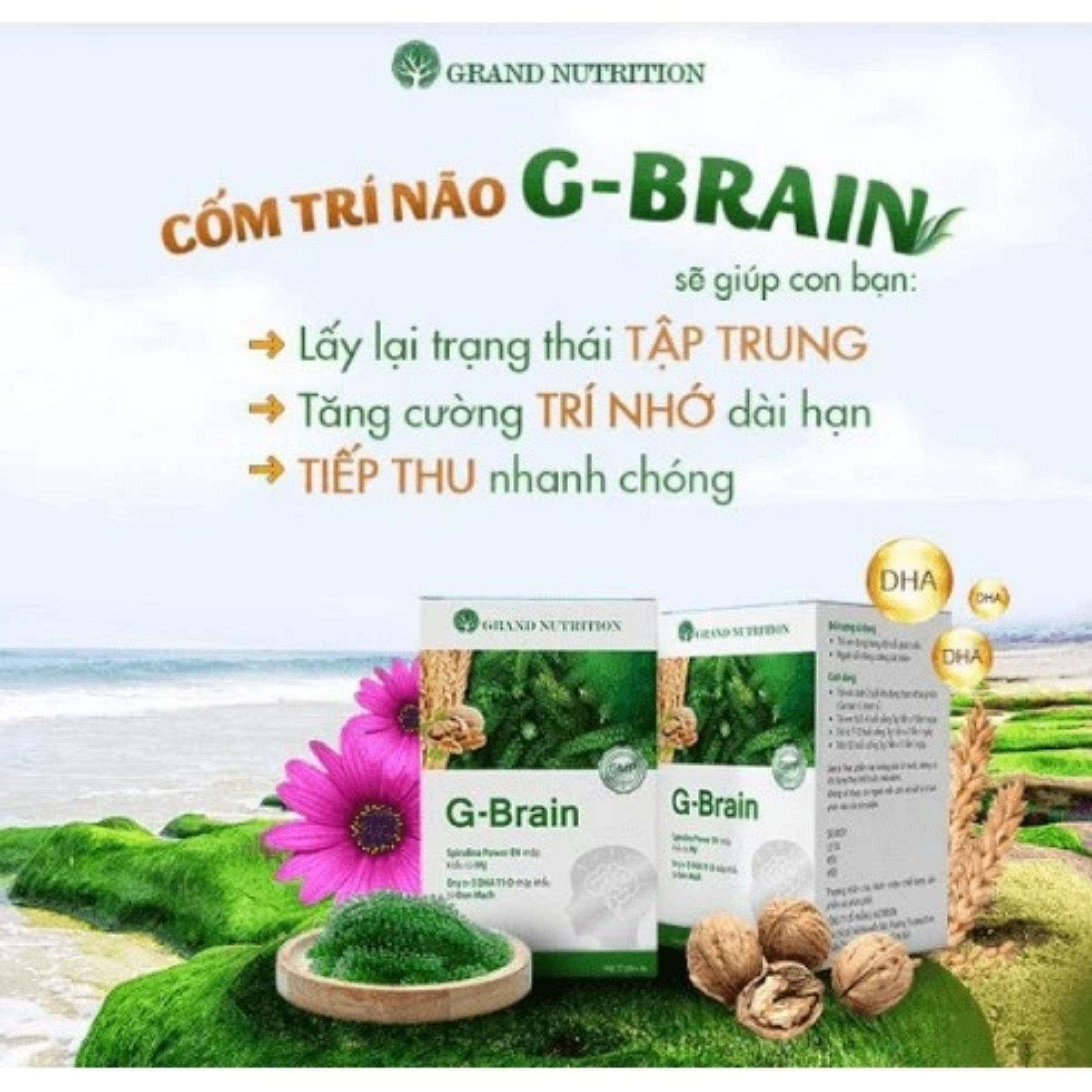 [GIÁ SỈ] CỐM TRÍ NÃO G BRAIN (CỐM TĂNG TRƯỞNG TRÍ NÃO GBRAIN) G-Brain (HỘP 30 GÓI)- SHOP BÉ SỮA