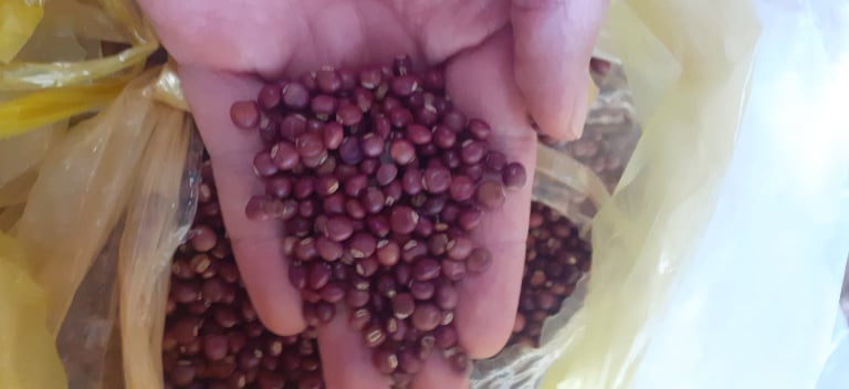 1kg hạt đậu săng