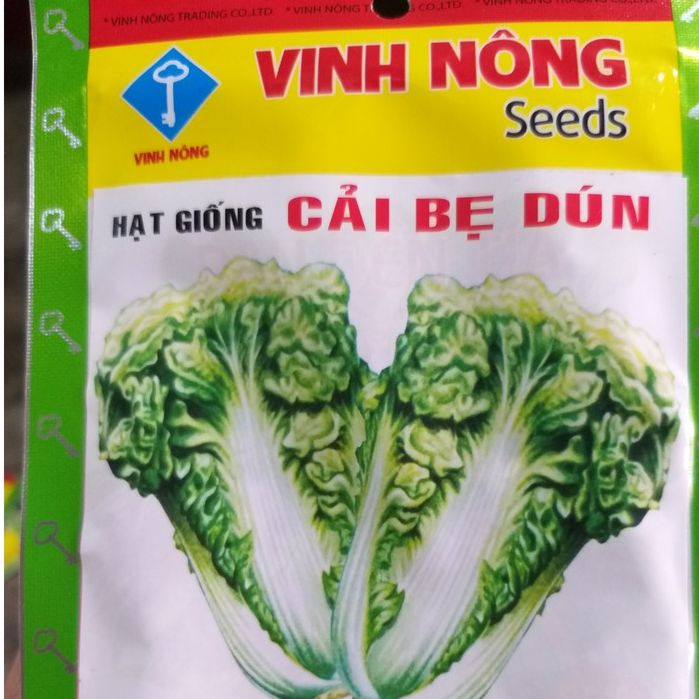 Hạt Giống Cải Bẹ Dún Thái Lan (gói 10g)