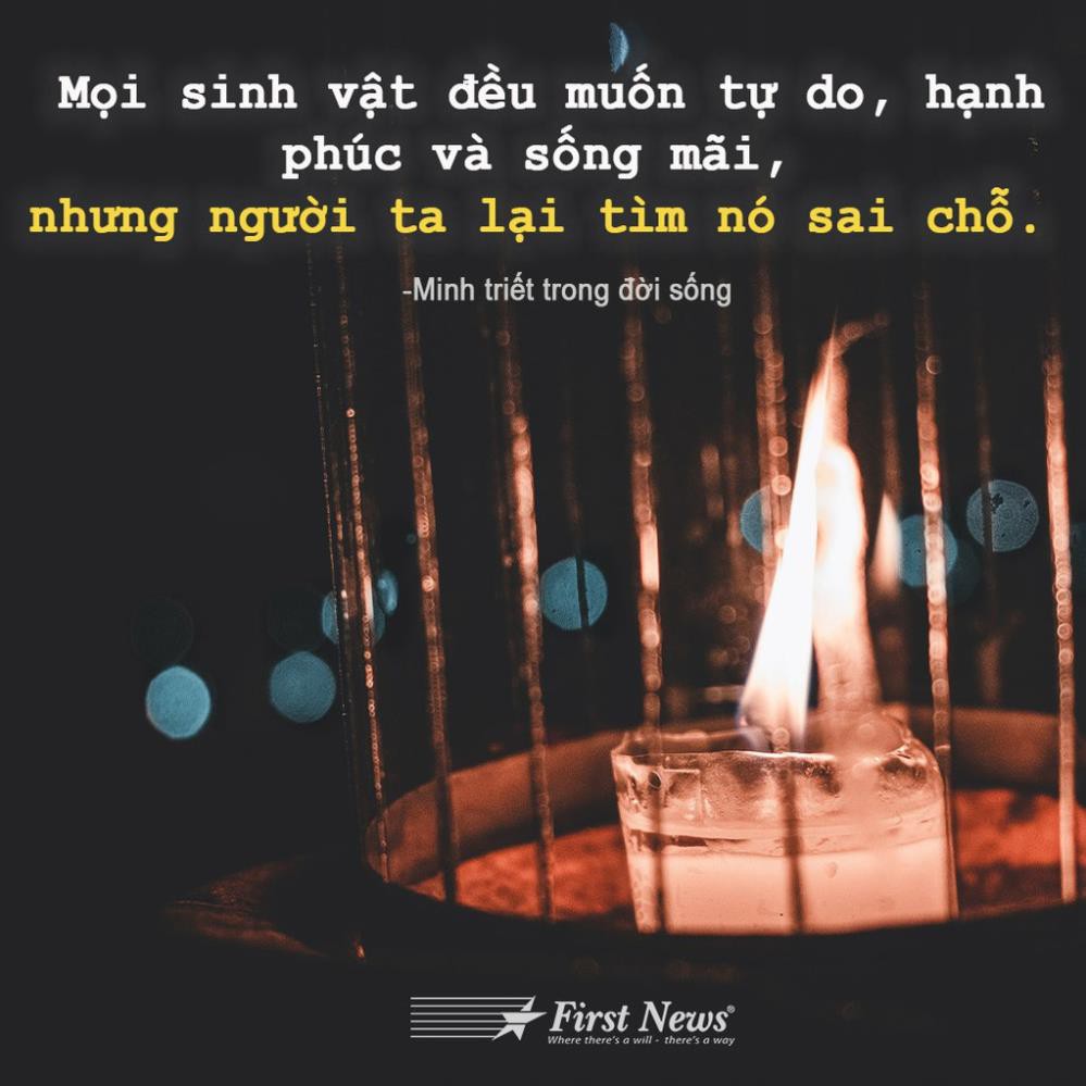 Sách - Minh triết trong đời sống - First News