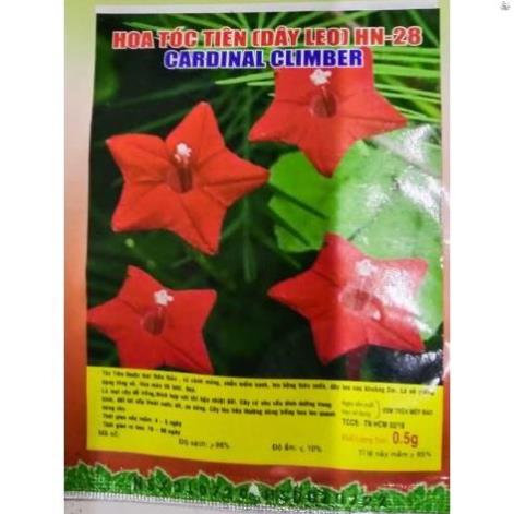 HẠT HOA TÓC TIÊN DẠNG LEO - GÓI 0,5 GRAM