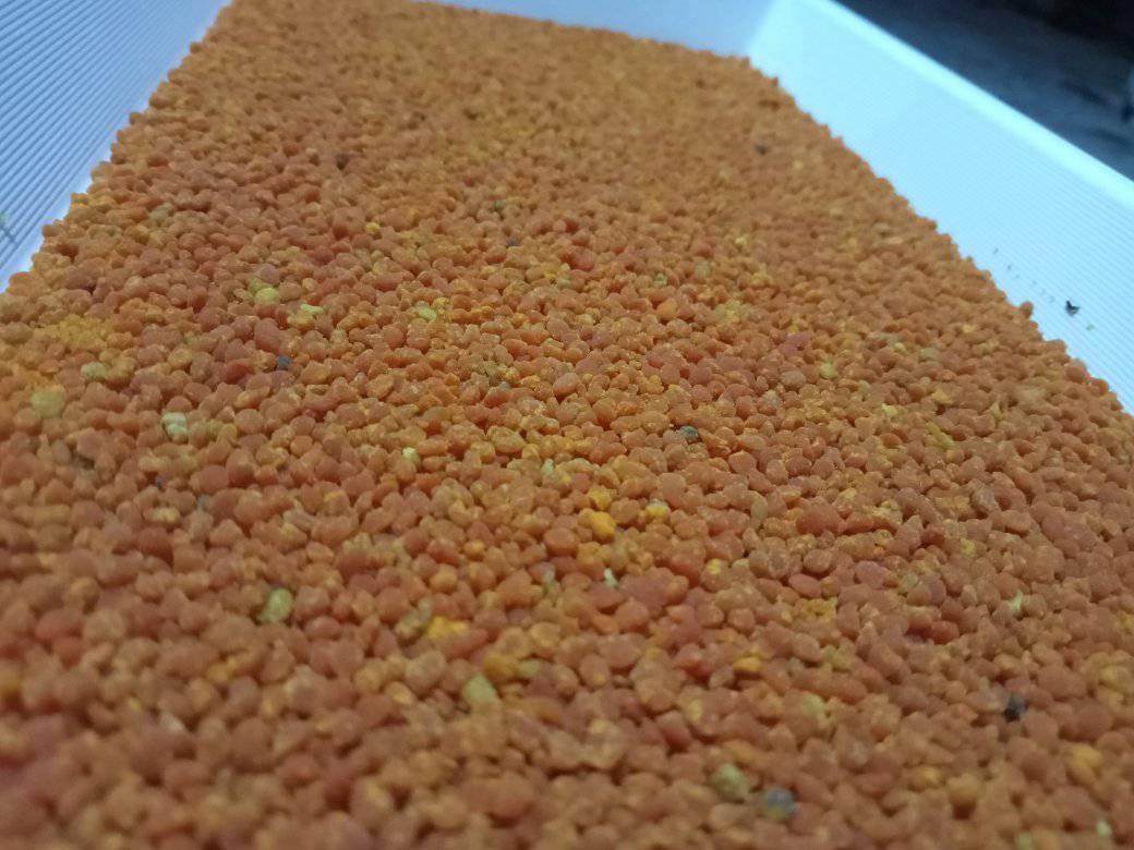 1kg Phấn ong đỏ cỏ kim