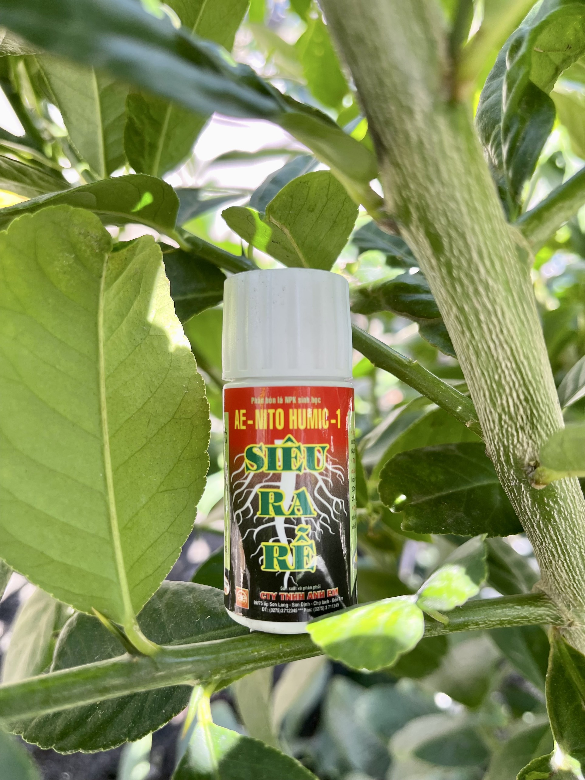 Phân siêu ra rễ AE-Nito Humic 1 chai 20ml