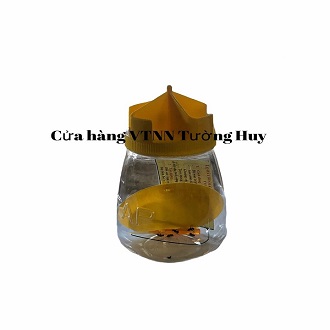 combo bẫy ruồi vàng và côn trùng sinh học