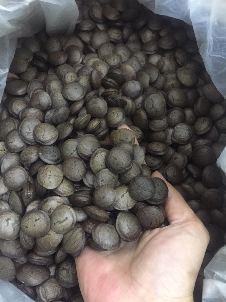 1Kg hạt sachi rang chín ăn liền