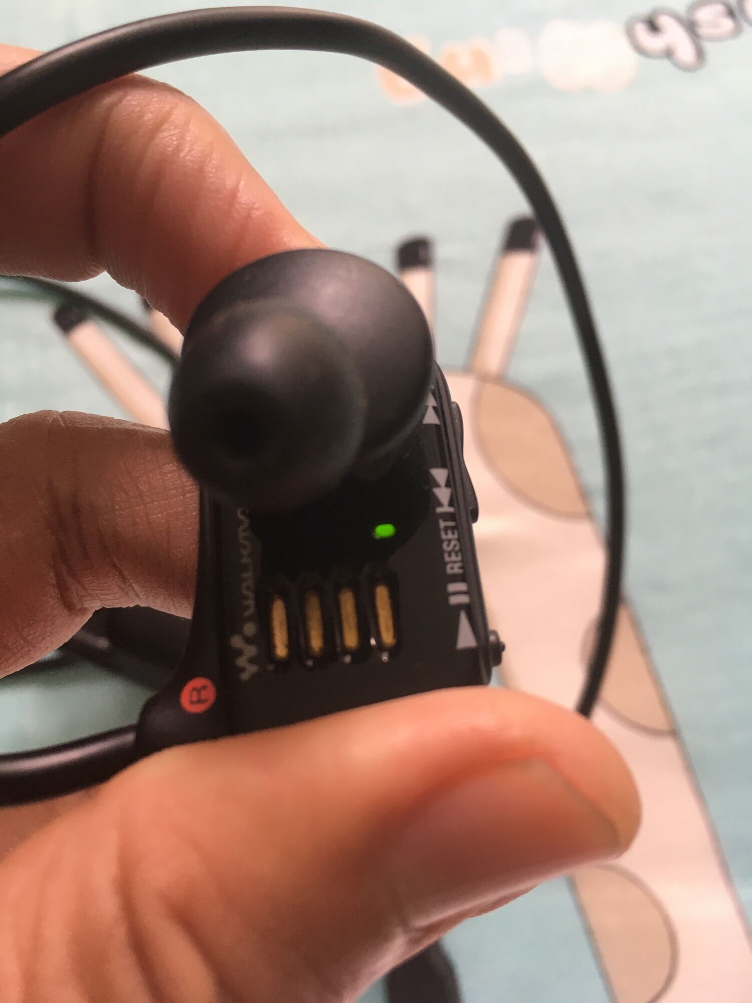 Tai Nghe Thể Thao Sony Ws724 8G.