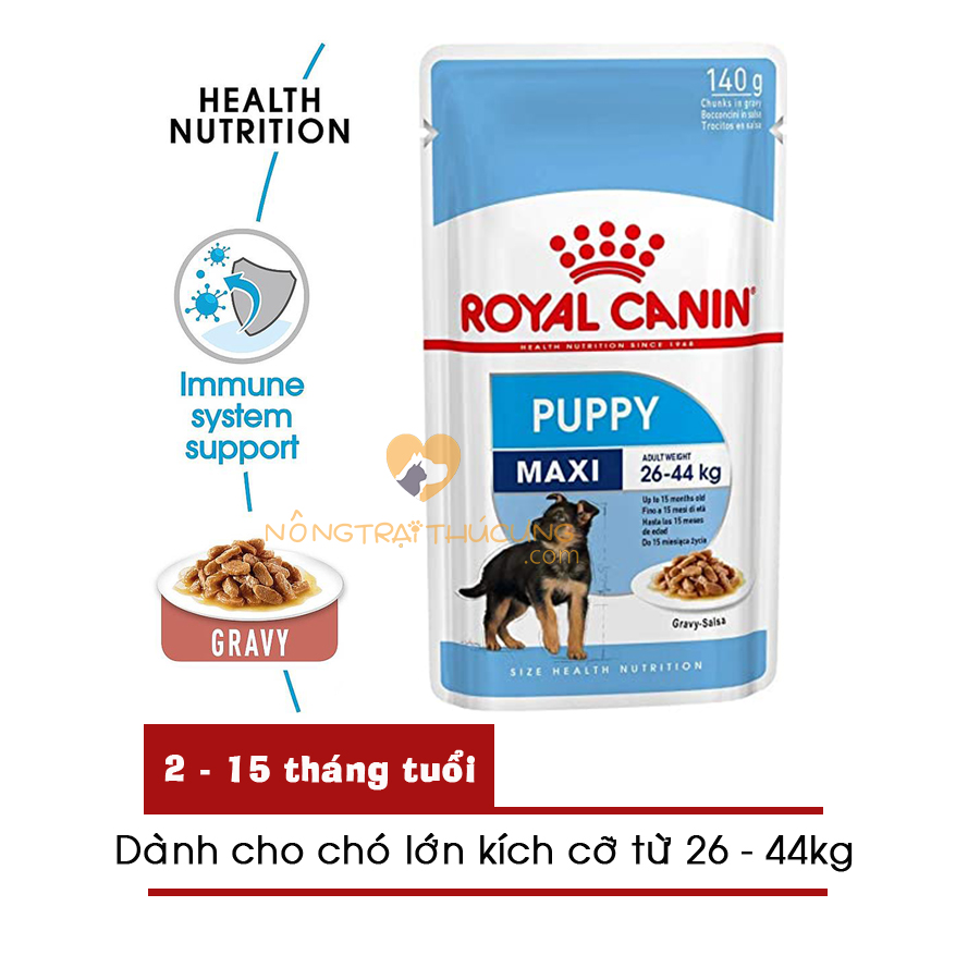 Pate cho chó royal canin maxi puppy 140g cho giống chó lớn - thức ăn cho chó becgie đức, husky, alaska, rottweiler, golden retriever, labrador, ...-