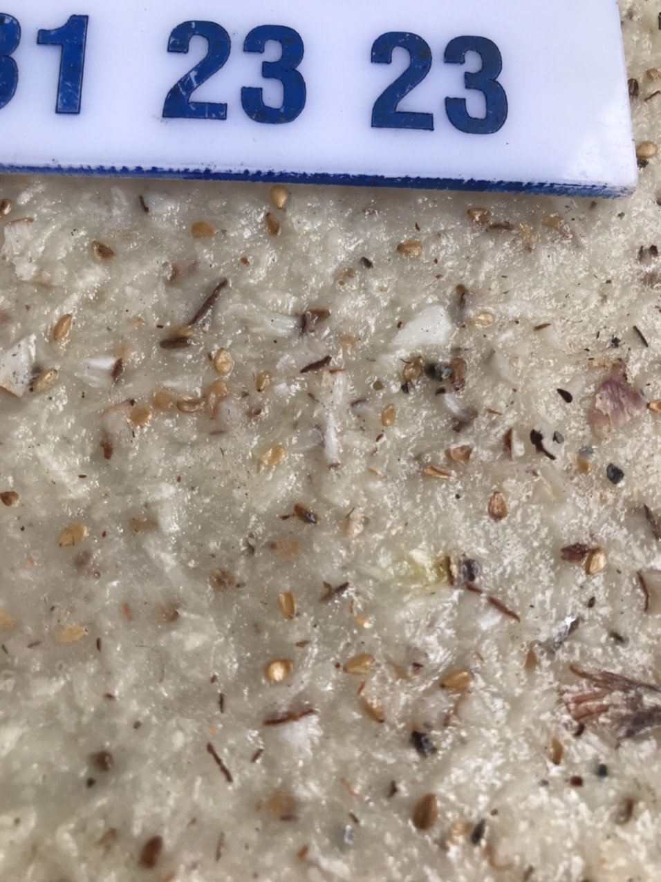 ]10 BÁNH TRÁNG DỪA TAM QUAN BÌNH ĐỊNH SIZE 30cm)