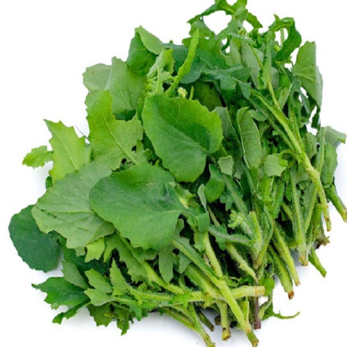 Hạt giống rau cải trời-gói 100 hạt