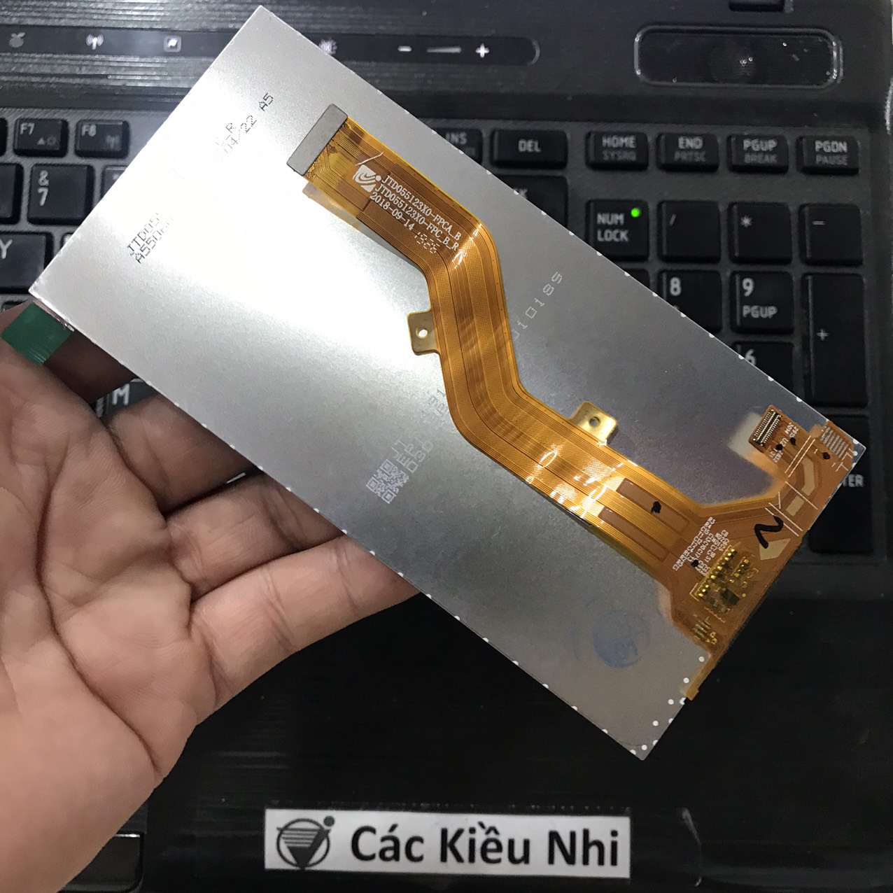 Itel	P33 | W5504	Màn hình	LCD rời