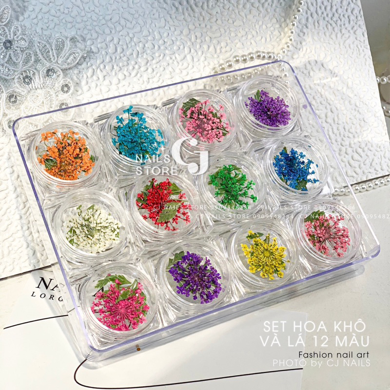 {CJ Nails Store} Set hoa lá khô trang trí móng 12 ô size lớn