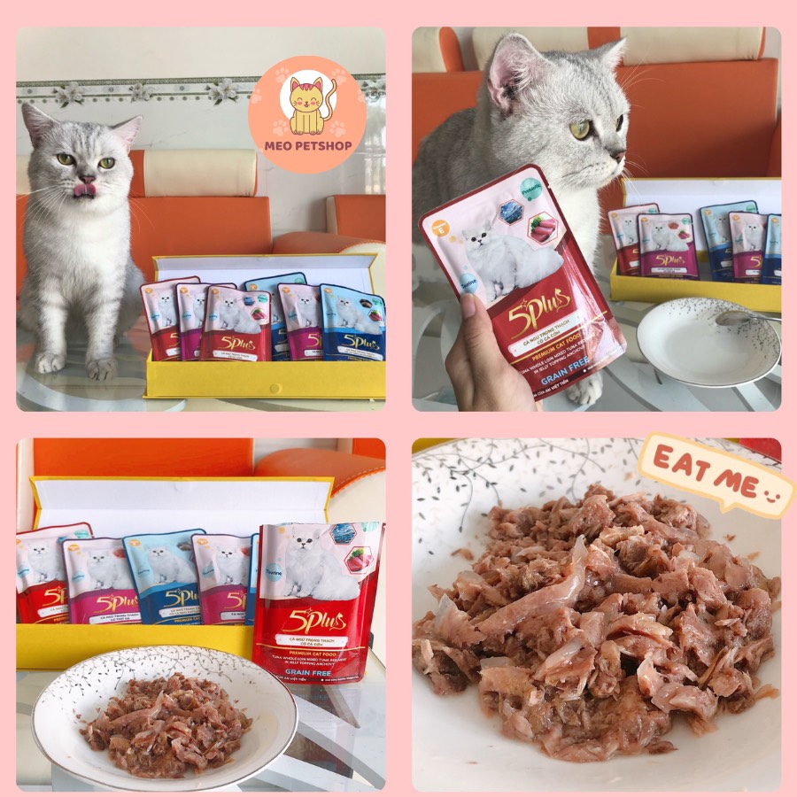 Pate 5Plus & 5plus Catchy 70g - Pate Cho Mèo