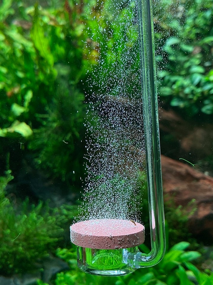 Sủi Co2 Neo Chất Lượng Gia Tốt 21 Lazada Vn