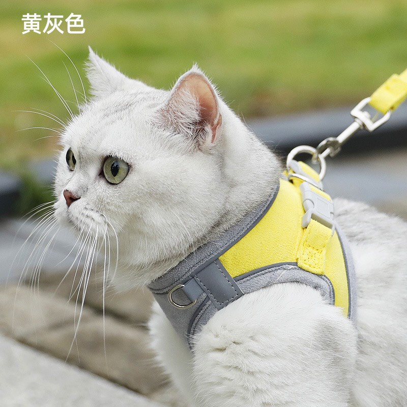 Dây yếm dắt mèo chó thú cưng đi dạo