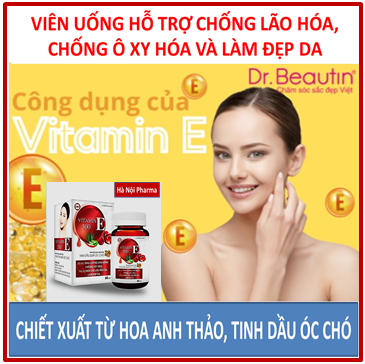 Viên Uống Đẹp Da Vitamin E Đỏ Hộp 60 Viên, Chiết Xuất Tinh Dầu Óc Chó, Hoa Anh Thảo, Lô Hội, Giúp Chống Oxy hóa, Làm Trắng Mịn Da, Mờ Nếp Nhăn, Mờ Thâm Nám, Cân Bằng Nội Tiết Tố, Giảm Mụn Nhọt, Hà Nội Pharma