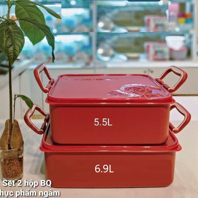 [Xả Kho Tết] Tupperware - Bộ hộp bảo quản thực phẩm ngâm