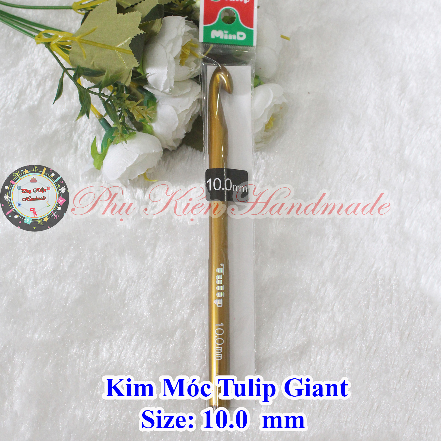 Kim móc tulip Giant