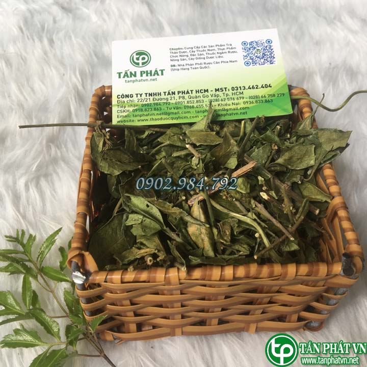 [HOT] Trà dây thìa canh túi 1kg - Thảo Dược Tấn Phát - Hàng công ty chất lượng cao - hỗ trợ cải thiện sức khoẻ - Tốt cho bệnh tiểu dường