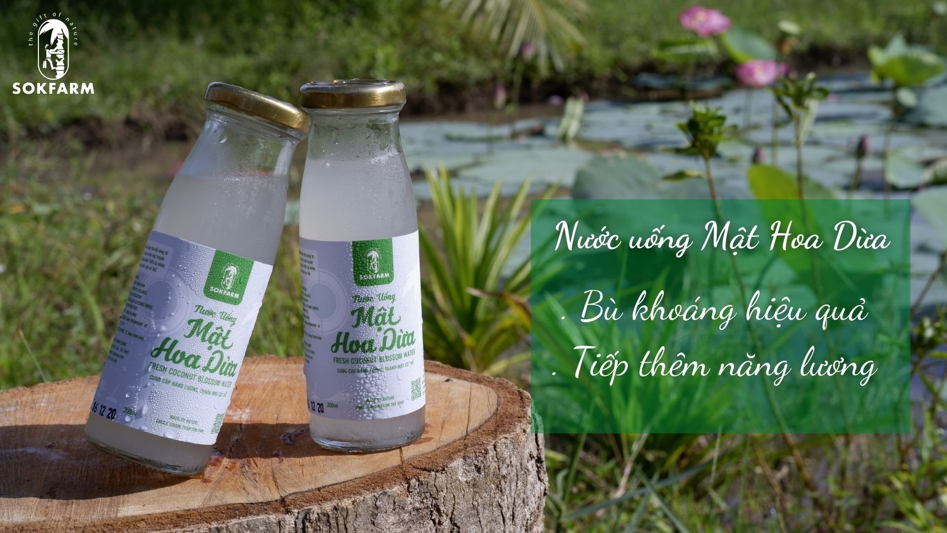 Mật Hoa Dừa Tươi 200ml