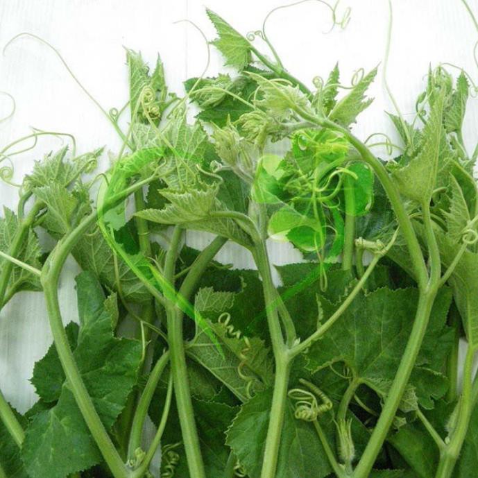 Hạt bí ngọn siêu đọt- gói 20 gram