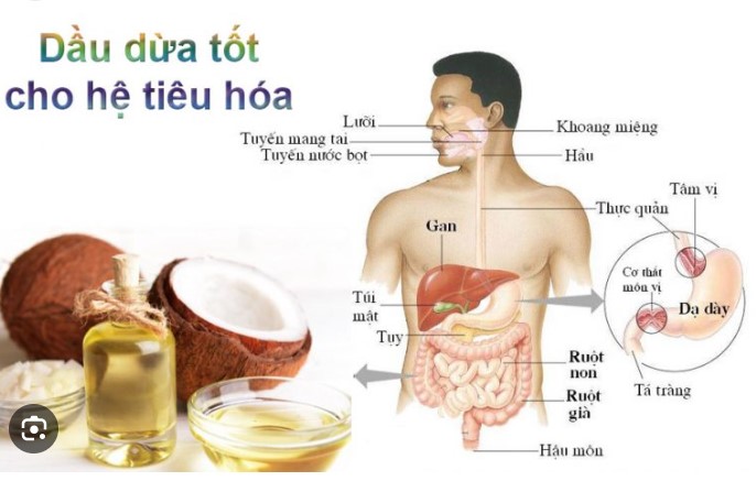 Dầu dừa 100ml nguyên chất cực thơm mềm tóc dạng xịt