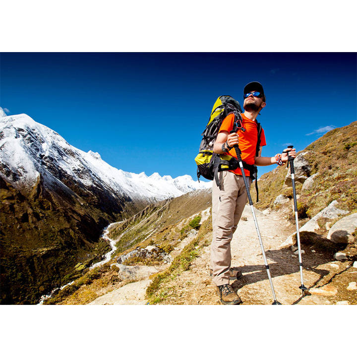 [HCM]Gậy leo núi đi rừng trekking GA2