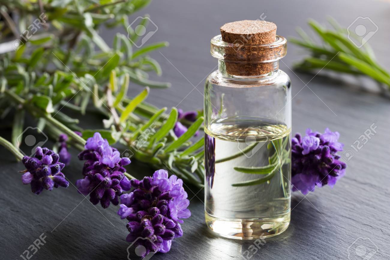 Tinh dầu oải hương (lavender)