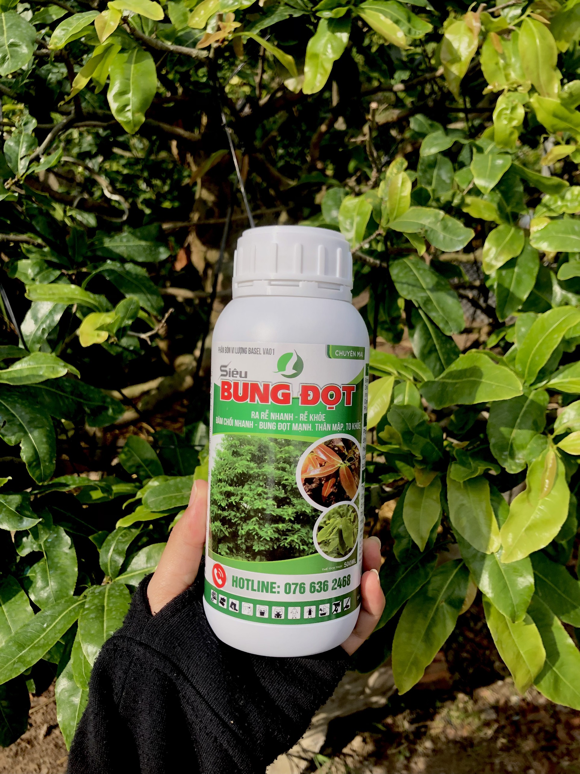 SIÊU BUNG ĐỌT MAI CHAI 500ML (Phân bón kích đọt phát triển, dưỡng rễ, lá xanh dày)