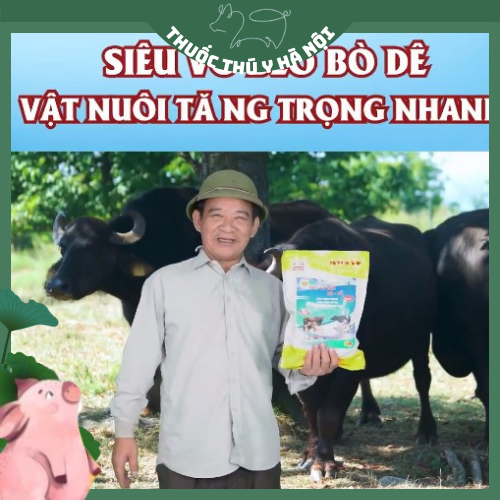 Siêu Vỗ Béo Bò Dê, Hàng Chuẩn Công Ty BigBoss