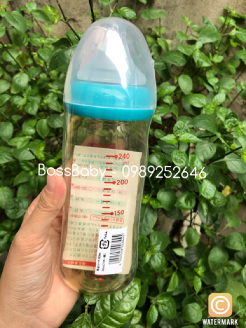 Bình Pigeon Thái Lan 160Ml/240Ml