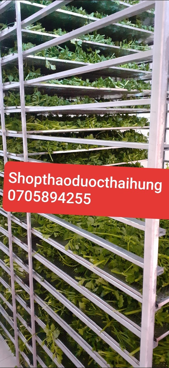 100gr bột cần tây sấy lạnh nguyên chất 100%