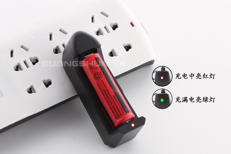 Sạc pin Lion đa năng 220v