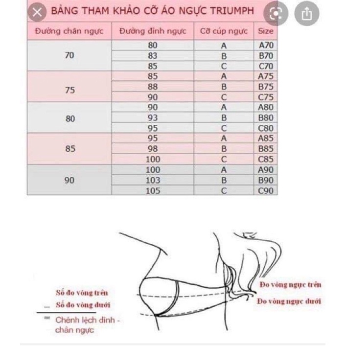 Áo lót Triumph Corsina 01 ( Không gọng)