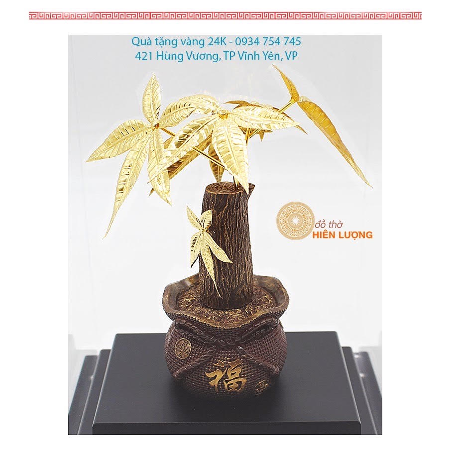 Cây Kim Ngân Dát Vàng vvv