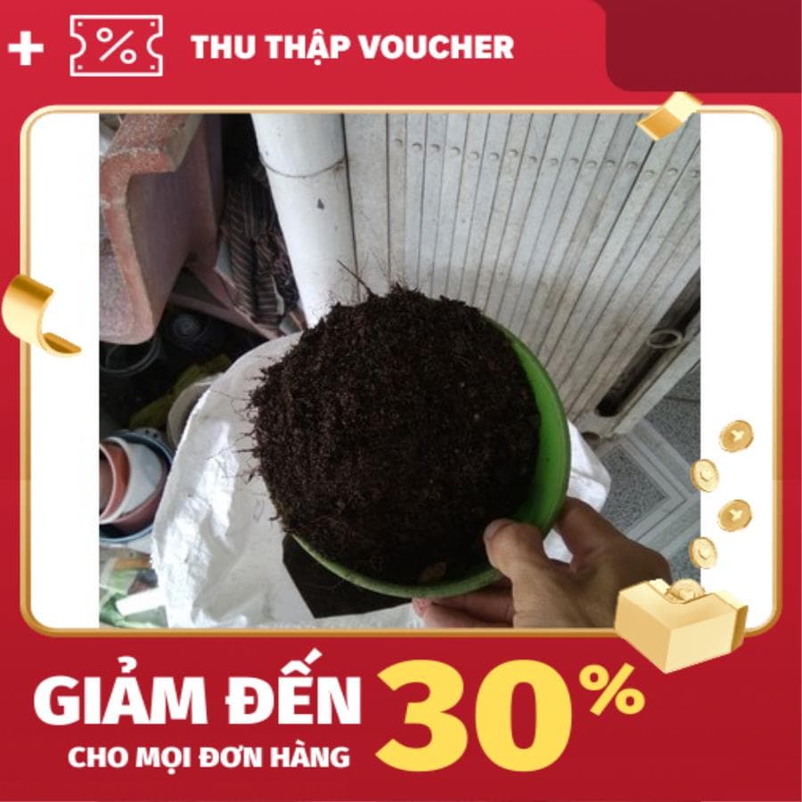 Hỗn hợp đất trồng sen đá - 1 KG - DT-025