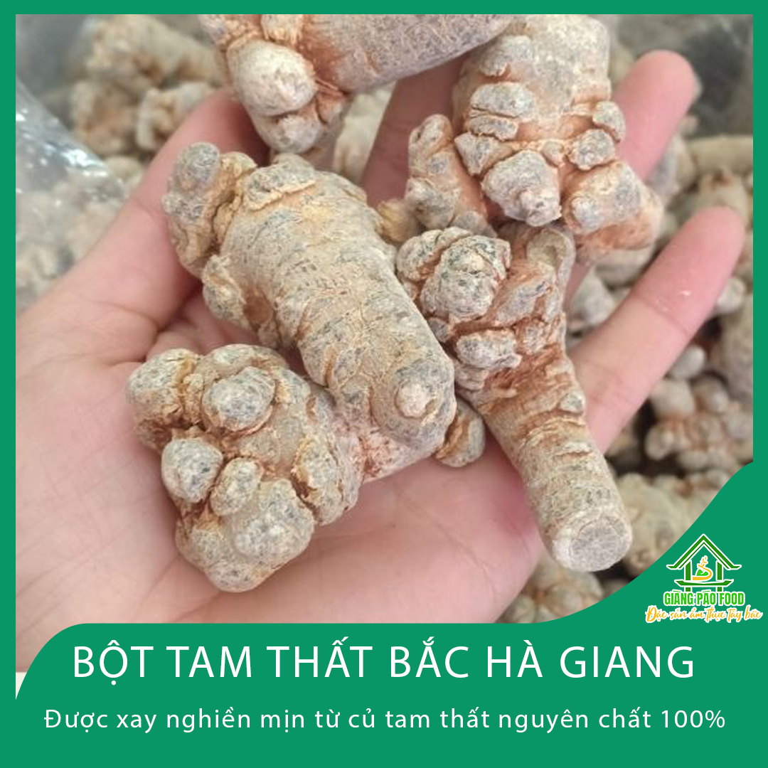 Bột Tam Thất Bắc Hà Giang