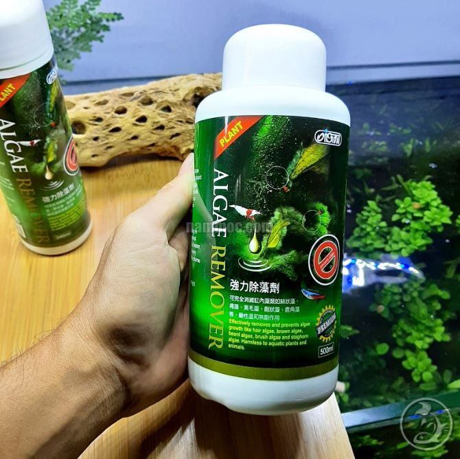 ISTA Premium Algae Remover | Chế Phẩm D.iệt Rêu H.ại Cho Bể Thuỷ Sinh
