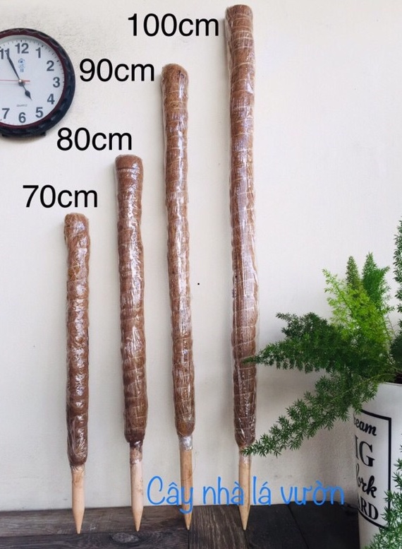 Trụ cột xơ dừa cao 70/80/90cm/110cm