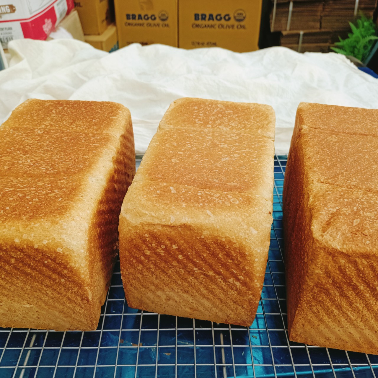 Bột Số 13, Bột Làm Bánh Mì Manitoba  1kg
