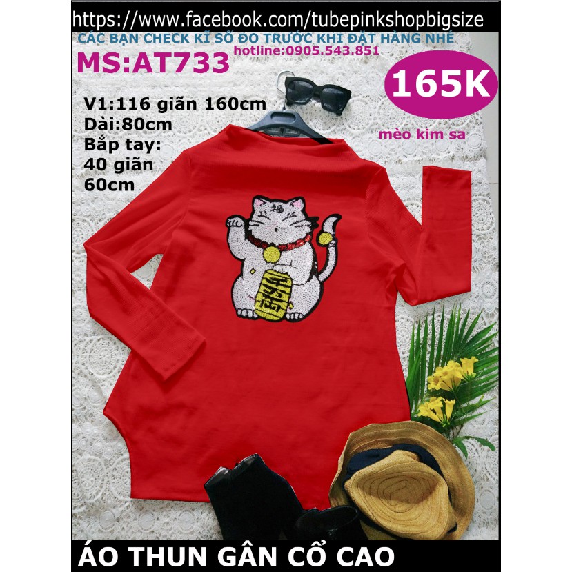 [HCM]áo thun mèo thêu kim sa