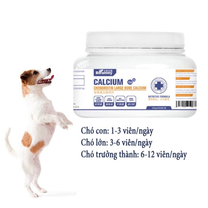 Hộp 600 viên bổ sung canxi cho chó mèo broramy