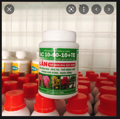 Phân Bón Siêu Lân 10-60-10+TE Tạo Mầm Hoa (Hủ 100gr)